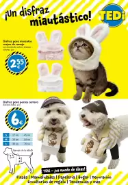 Catálogo TEDi Página 13
