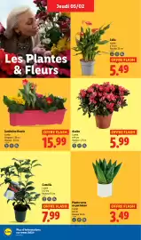 Catalogue Lidl semaine 6 page 30