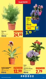 Catalogue Lidl semaine 6 page 31
