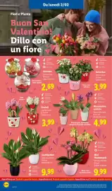 Volantino Lidl settimana 6 Pagina 28
