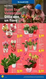 Volantino Lidl settimana 6 Pagina 28