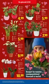 Volantino Lidl settimana 6 Pagina 29