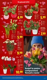 Volantino Lidl settimana 6 Pagina 29