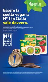 Volantino Lidl | Sulla via del domani Pagina 24
