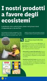 Volantino Lidl | Sulla via del domani Pagina 14