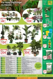 Globus Prospekt woche 6 Seite 24