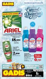 Folleto Gadis semana 5 Página 40