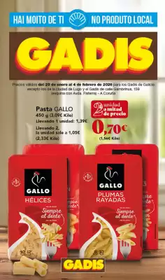 Folleto Gadis (válido hasta el 4-02)