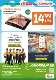 Folleto AhorraMas Página 8