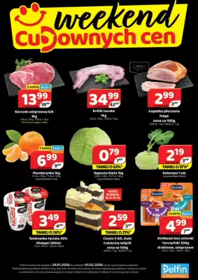 Delfin gazetka (ważność do 1-02)