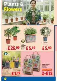 Lidl leaflet week 6 Page 21