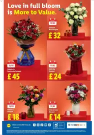 Lidl leaflet week 6 Page 29