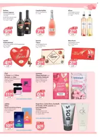 V Markt Prospekt woche 6 Seite 15