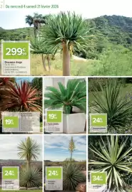 Catalogue Carrefour page 2