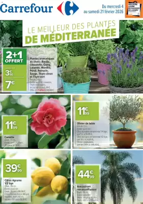 Catalogue Carrefour (valable jusqu'au 21-02)
