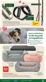 Fressnapf Prospekt woche 5 Seite 11