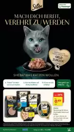 Fressnapf Prospekt woche 5 Seite 13