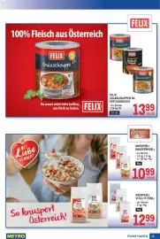 Metro Flugblatt Seite 15