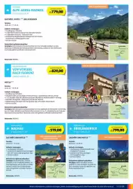 Hofer Flugblatt | tra Seite 11