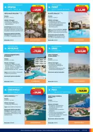 Hofer Flugblatt | tra Seite 3