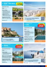 Hofer Flugblatt | tra Seite 5