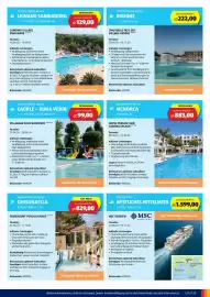 Hofer Flugblatt | tra Seite 7