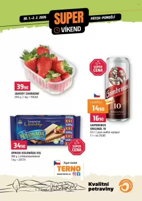 Terno leták (platné do 2-02)