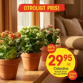 EKO reklamblad Sida 2