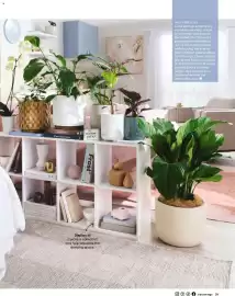 Bunnings catalogue Page 21