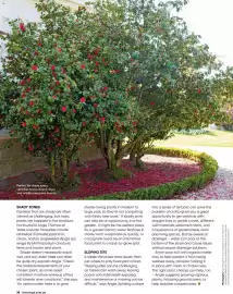 Bunnings catalogue Page 28