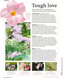 Bunnings catalogue Page 34