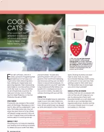 Bunnings catalogue Page 56