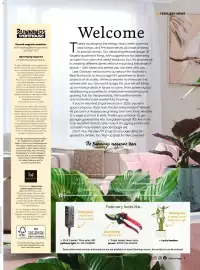 Bunnings catalogue Page 7