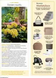 Bunnings catalogue Page 8