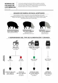 Catálogo El Corte Inglés Página 7