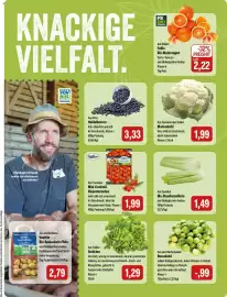 Feneberg Prospekt Seite 5