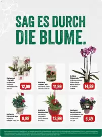 Feneberg Prospekt Seite 8