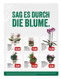 Feneberg Prospekt Seite 8