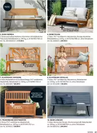 Dehner Prospekt Seite 31