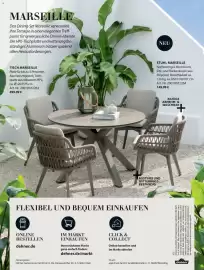 Dehner Prospekt Seite 36