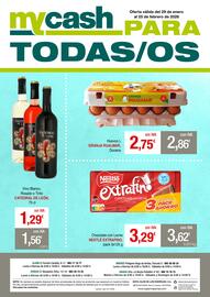 Folleto mycash profesional Página 8