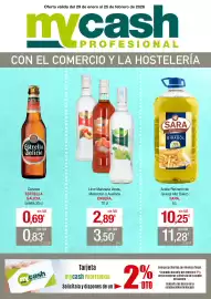 Folleto mycash profesional Página 1