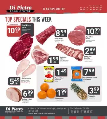 Di Pietro flyer (valid until 4-02)