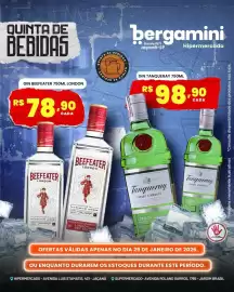 Catálogo Supermercado Bergamini Página 7