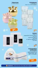 Trekpleister folder Pagina 52