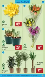 ALDI folder week 6 Pagina 31