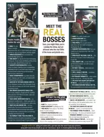 Bunnings catalogue Page 65