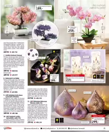 Velký Košík katalog Strana 21