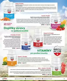 Velký Košík katalog Strana 63