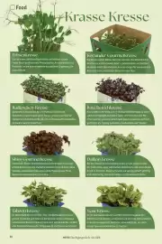 METRO Prospekt Seite 38